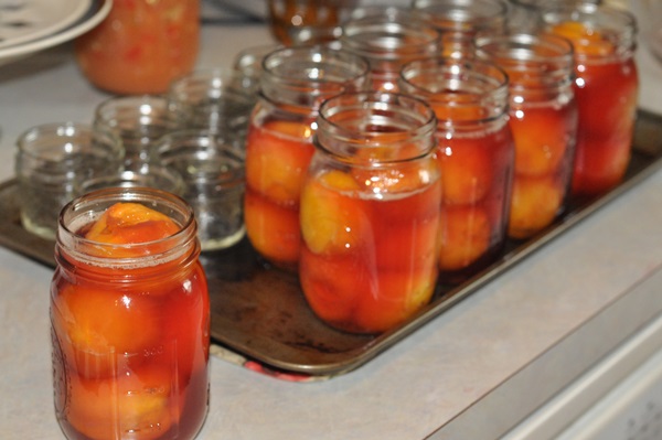 Abrikozenjam - koninklijk recept