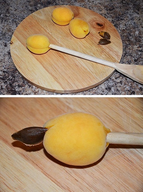 Abrikozenjam - koninklijk recept