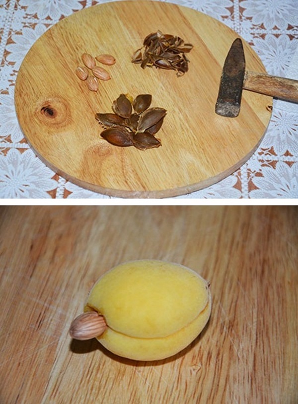 Abrikozenjam - koninklijk recept