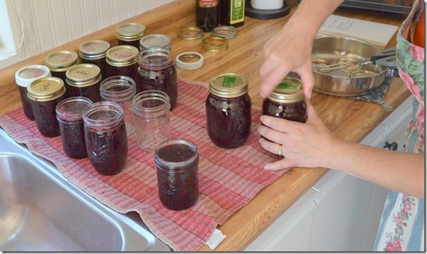 Jam van zwarte appelbes