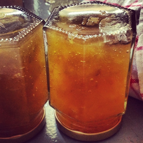 Jam van meloen en meloenkorst voor de winter - eenvoudige recepten
