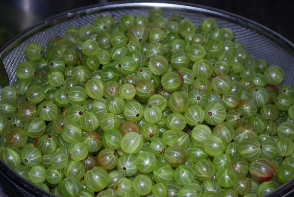 Recepten van jam uit kruisbessen