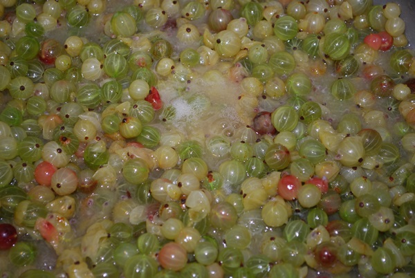 Recepten van jam uit kruisbessen