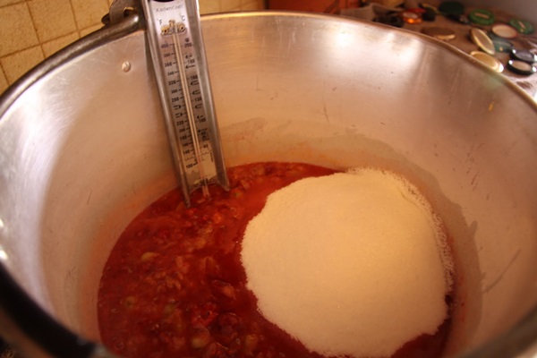 Recepten van jam uit kruisbessen
