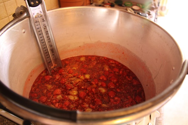 Recepten van jam uit kruisbessen
