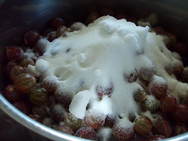 Recepten van jam uit kruisbessen