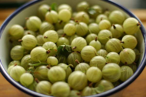 Recepten van jam uit kruisbessen