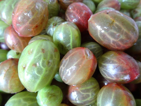 Recepten van jam uit kruisbessen