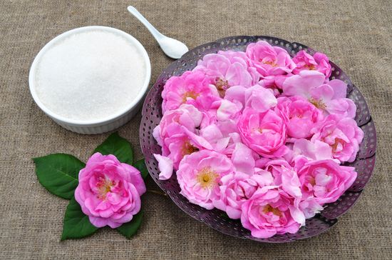 Het recept van klassieke jam van rozen