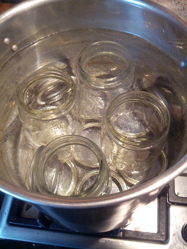 Hoe jam te maken van een pruim met een steen en ontpit - eenvoudige recepten