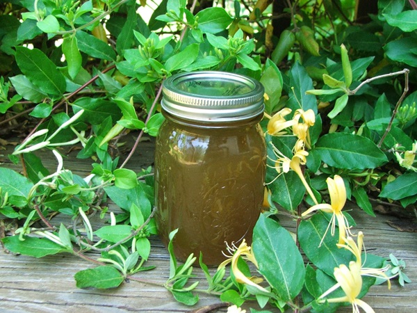 Kamperfoelie jam