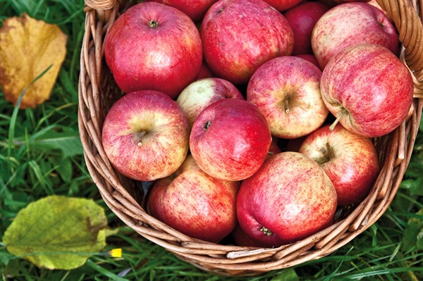 Zelfgemaakte wijn van appels