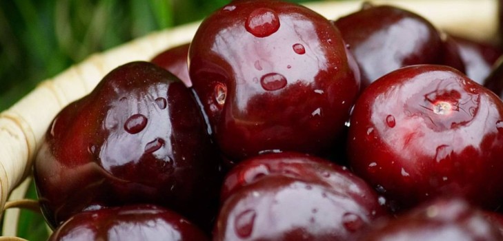 Kers voor de winter - recepten - confituur met pitjes en pitjes, vijf minuten, jam, gelei zonder gelatine, kersencompote Kers voor de winter - recepten - confituur met pitjes en pitjes, vijf minuten, jam, gelei zonder gelatine, kersencompote