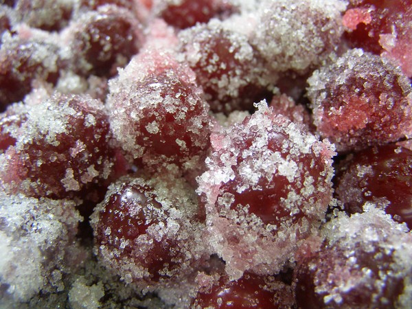 Kers voor de winter - recepten - confituur met pitjes en pitjes, vijf minuten, jam, gelei zonder gelatine, kersencompote