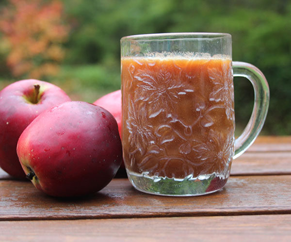 Hoe je appelsap voor de winter kunt bereiden