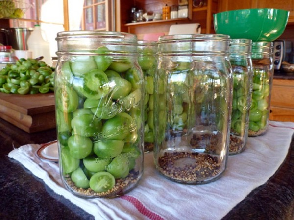 Groene tomaten, recepten voor de winter. Hoe groene tomaten te koken - gebeitst, gepekeld, Koreaans