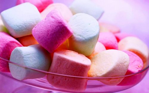 Leef samen met caloriearme delicatessen