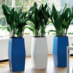 Binnenlandse fytodesign Binnenlandse fytodesign