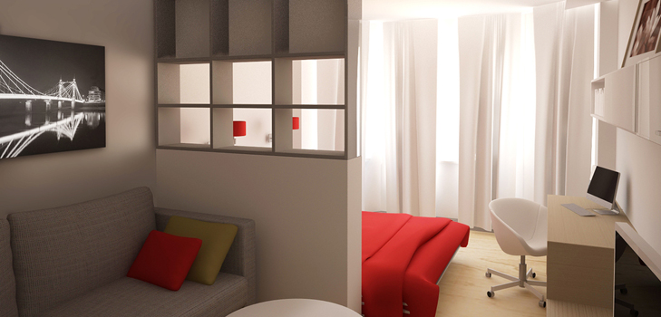 Woonkamer en slaapkamer in één kamer (foto)