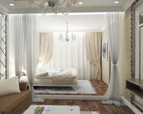 Woonkamer en slaapkamer in één kamer (foto)