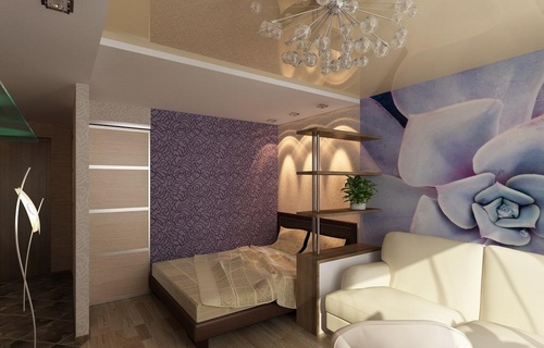 Woonkamer en slaapkamer in één kamer (foto)