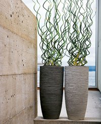 Vazen in het interieur