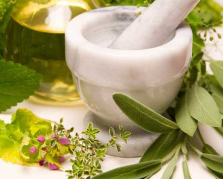 Astragalus: therapeutische eigenschappen, foto, applicatie