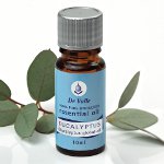 Eucalyptus etherische olie Eucalyptus etherische olie