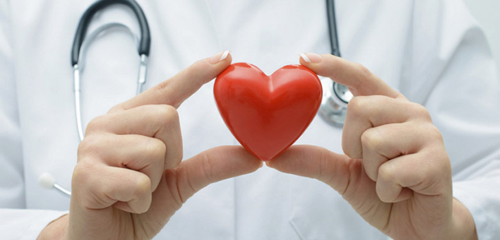 Cholesterol: mythes, waarheid en aanbevelingen van voedingsdeskundigen