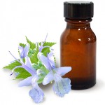 Patchouli-olie en de gunstige eigenschappen ervan Patchouli-olie en de gunstige eigenschappen ervan