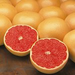 Nuttige eigenschappen van grapefruit Nuttige eigenschappen van grapefruit