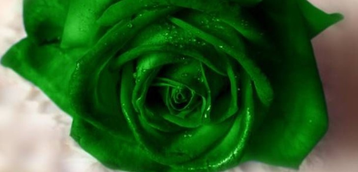 Groene afscheiding bij vrouwen: de redenen voor het uiterlijk